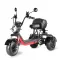 Электротрицикл WHITE SIBERIA TRIKE MINI 2000W